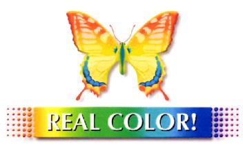 Imagen de REAL COLOR!