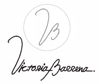 Imagen de VB VICTORIA BARRENA