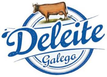 Imagen de DELEITE GALEGO