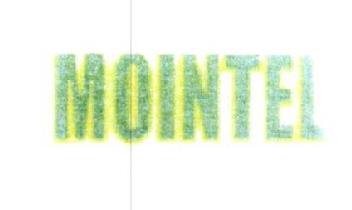 Imagen de MOINTEL