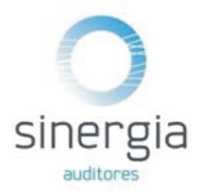 Imagen de SINERGIA AUDITORES