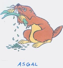 Imagen de ASGAL