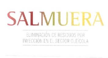 Imagen de SALMUERA ELIMINACION DE RESIDUOS POR INYECCION EN EL SECTOR OLEICOLA