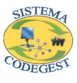 Imagen de SISTEMA CODEGEST
