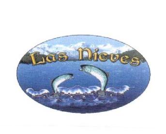 Imagen de LAS NIEVES