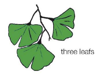 Imagen de THREE LEAFS