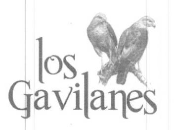 Imagen de LOS GAVILANES