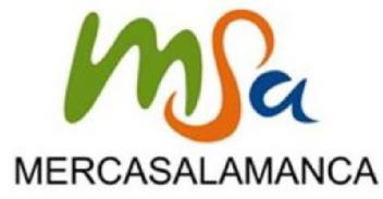 Imagen de MSA MERCASALAMANCA
