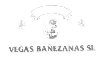 Imagen de VEGAS BAÑEZANAS SL