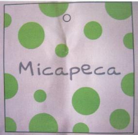 Imagen de MICAPECA