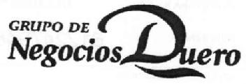 Imagen de GRUPO DE NEGOCIOS DUERO