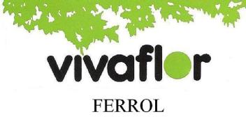 Imagen de VIVAFLOR FERROL