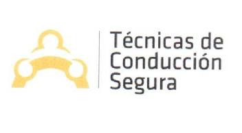 Imagen de TECNICAS DE CONDUCCION SEGURA