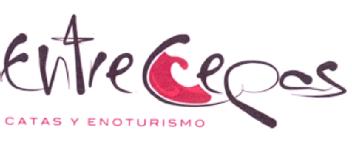 Imagen de ENTRE CEPAS CATAS Y ENOTURISMO