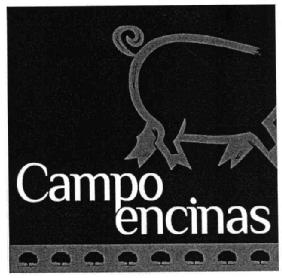 Imagen de CAMPO ENCINAS