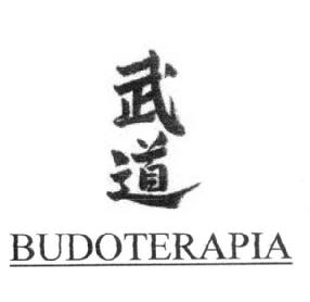 Imagen de BUDOTERAPIA