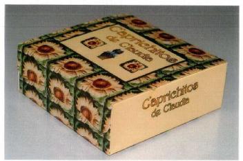 Imagen de CAPRICHOS DE CLAUDIA