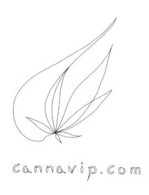 Imagen de CANNAVIP.COM