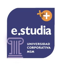 Imagen de E.STUDIA UNIVERSIDAD CORPORATIVA MSM