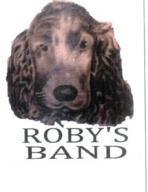 Imagen de ROBY'S BAND