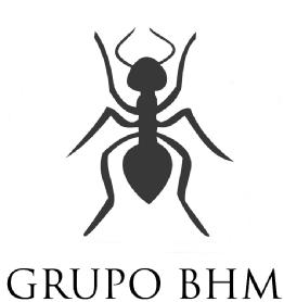 Imagen de GRUPO BHM