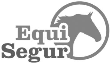 Imagen de EQUISEGUR