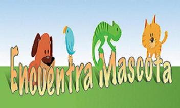 Imagen de ENCUENTRA MASCOTA