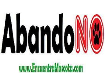 Imagen de ABANDONO WWW.ENCUENTRAMASCOTA.COM