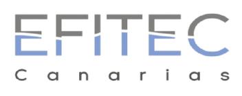 Imagen de EFITEC CANARIAS