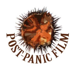 Imagen de POST-PANIC FILM