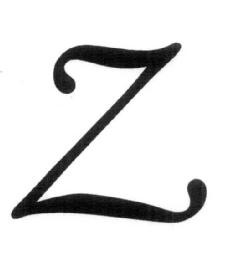 Imagen de Z