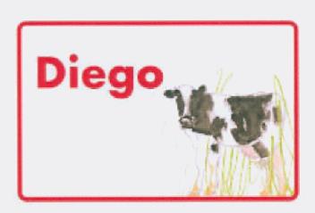Imagen de DIEGO