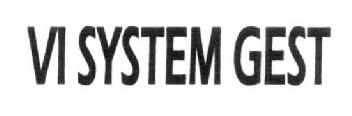 Imagen de VI SYSTEM GEST