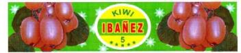Imagen de KIWI IBAÑEZ
