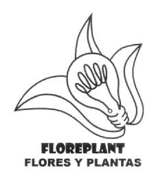 Imagen de FLOREPLANT FLORES Y PLANTAS