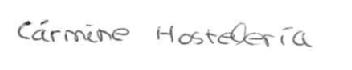 Imagen de CARMINE HOSTELERIA