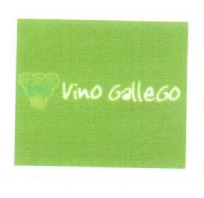 Imagen de VINO GALLEGO