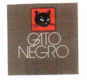 Imagen de GATO NEGRO