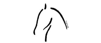 Imagen de TIC & TICS