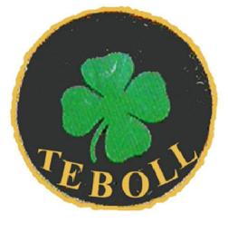 Imagen de TEBOLL