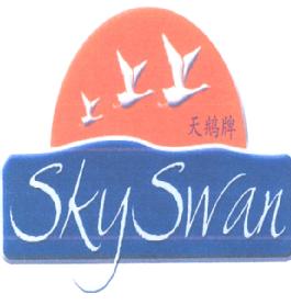 Imagen de SKYSWAN
