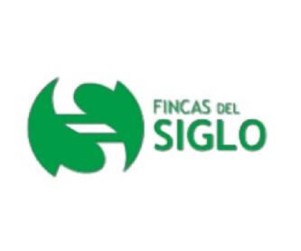 Imagen de FINCAS DEL SIGLO