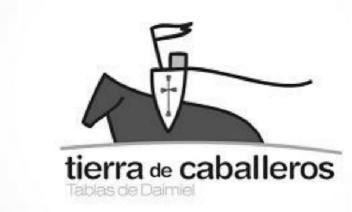 Imagen de TIERRA DE CABALLEROS TABLAS DE DAIMIEL