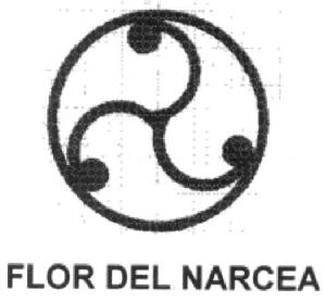 Imagen de FLOR DEL NARCEA