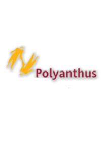 Imagen de POLYANTHUS