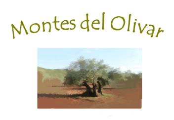 Imagen de MONTES DEL OLIVAR