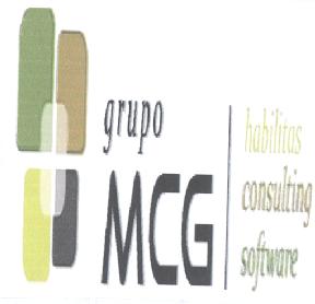 Imagen de GRUPO MCG HABILITAS CONSULTING SOFTWARE