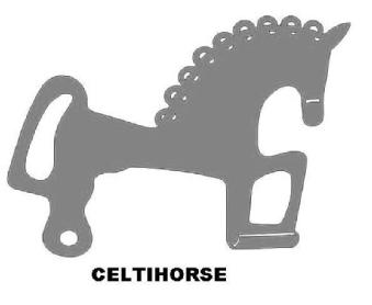 Imagen de CELTIHORSE
