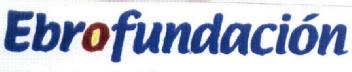 Imagen de EBROFUNDACION