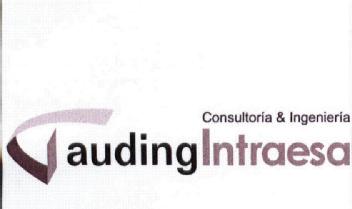Imagen de CONSULTORIA & INGENIERIA AUDINGINTRAESA